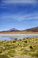 Laguna colorada en bolivie photo
