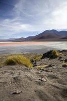 Laguna colorada en bolivie photo