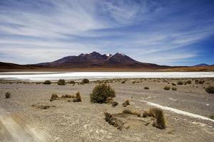 Désert de Dali en Bolivie photo