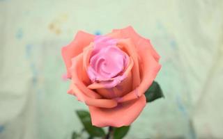 médium acrylique couleur fluide coulant, dégoulinant, remplissant sur une rose photo