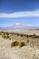 Volcan Licancabur en bolivie photo