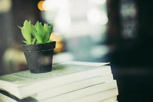 livres et cactus au café photo