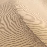 Belle dune de sable dans le désert du Thar, Jaisalmer, Rajasthan, Inde photo