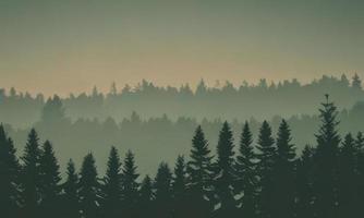 forêt dans le montagnes arrière-plan, des arbres silhouette Contexte photo