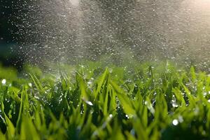 l'eau éclaboussure vaporisateur à le herbe ou jardin champ pourrait être de tuyau ou jardin arroseur. arrosage le plante. photo