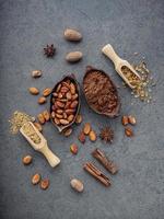 fèves de cacao et poudre