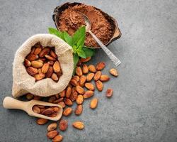 fèves de cacao et poudre de cacao dans un sac et un plat photo