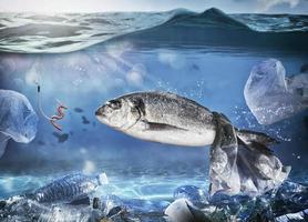 piégé poisson par une flottant sac. problème de Plastique la pollution en dessous de le mer concept photo