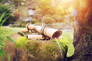 spa fontaineavec nettoyer l'eau dans une vert jardin pendant lever du soleil photo