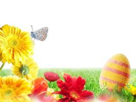 Pâques décorations avec des œufs et fleurs sur une Frais vert champ photo