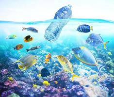 des poissons regarder une flottant bouteille. problème de Plastique la pollution en dessous de le mer concept. photo