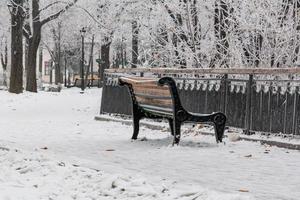 parc d'hiver couvert de neige et de givre photo