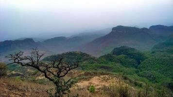pachmarhi paysages Inde photo