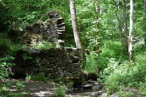 moulin se ruiner dans le forêt photo