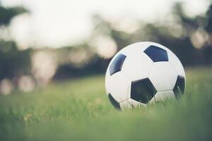 Football sur herbe champ dans le parc photo