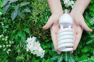 énergie économie concept, femme main en portant lumière ampoule sur vert la nature arrière-plan, idées lumière ampoule dans le main photo