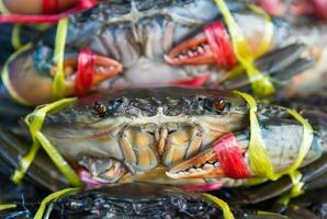 Frais Crabes sur vente photo