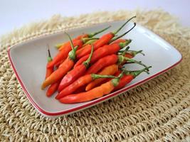 chaud rouge le Chili dans une rectangulaire plaque. photo