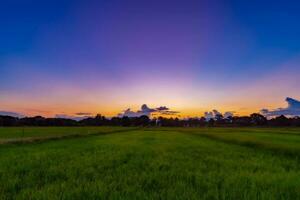 paysage de riz champ et le coucher du soleil dans chiang Mai, Thaïlande. photo