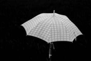 Les agriculteurs champ pluie parapluies pour Soleil protection et pluie protection pendant le à venir mousson saison à protéger toi même de le Soleil et le couler de pluie à être sûr de maladie et covid 2019. photo