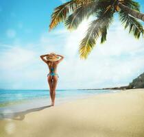 tropical vacances concept avec femme photo