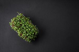 Frais microgreen un radis dans une Plastique boîte sur une foncé béton Contexte photo