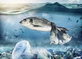 piégé poisson par une flottant sac. problème de Plastique la pollution en dessous de le mer concept photo