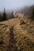 enroulement Piste par flanc de coteau et épicéa forêt paysage photo