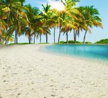 paradis tropical plage photo