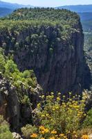 tazi canyon paysage dans manavgat dinde avec yallow fleurs. vallée et falaise. photo