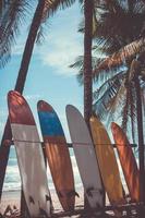 De nombreuses planches de surf à côté des cocotiers à la plage d'été avec la lumière du soleil et le ciel bleu photo