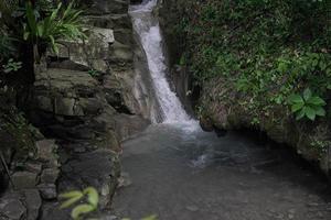 le gargouillement l'eau de le kedung pedut rivière est frais, rocheux et faire le ménage. photo