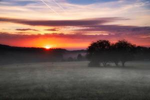 lever du soleil plus de une voisin forêt avec Prairie dans le premier plan. pâturage paysage photo