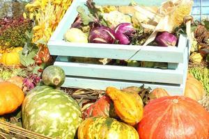 citrouille et légumes biologiques dans une boîte en bois sur une foire agricole. récolte du concept de temps d'automne. plante naturelle d'automne de jardin. décor d'halloween d'action de grâces. fond rural de ferme festive. nourriture végétalienne. photo