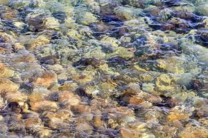 vue rapprochée de l'eau de mer photo