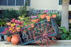 wagon et des vases avec les plantes sur une jardin photo