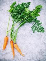 carottes sur fond de béton photo