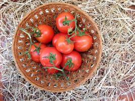 Tomates dans un panier en osier sur un fond de foin ou de paille photo