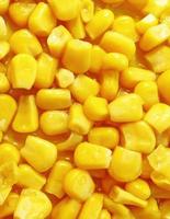 grains de maïs cuits