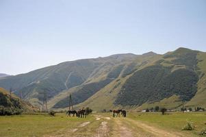 vue de une Montagne village avec une pâturage de les chevaux photo