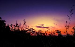 le coucher du soleil ou lever du soleil avec silhouette de herbe et buisson photo