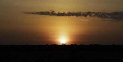 un de bonne heure Matin lever du soleil dans etosha nationale parc. photo