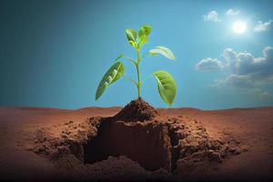 plante germer semis croissance en dehors de fertile marron sol sur une bleu ciel horizon paysage environnement photo