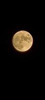 plein lune coup dans le nuit photo