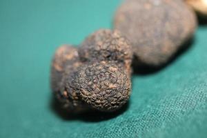 noir truffes champignons proche en haut Contexte tubercule aestivum famille tubéracées haute qualité gros Taille impression photo