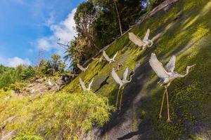 Flamingo statues japonaises à Chin Swee Caves temple Genting Highlands, Malaisie photo