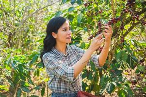 proche en haut asiatique femmes cueillette café baie sur café arbre photo