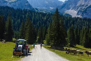 récolte surgir par rouge tracteur dans autrichien alpin vert Montagne des champs avec duveteux des nuages sur ciel photo