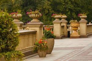 rouge fleurs dans fleur des pots dans le jardin photo