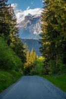 une route cette court par une forêt. dans le distance vous pouvez voir montagnes photo